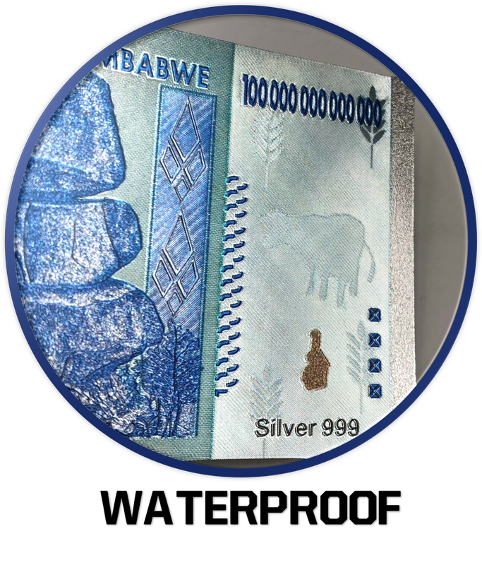 Zimbabwe 999 Silver-Plated Replica of Z$ 100 Trillion Banknote